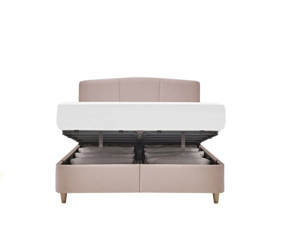 Magnus Pro & Dual Plus
