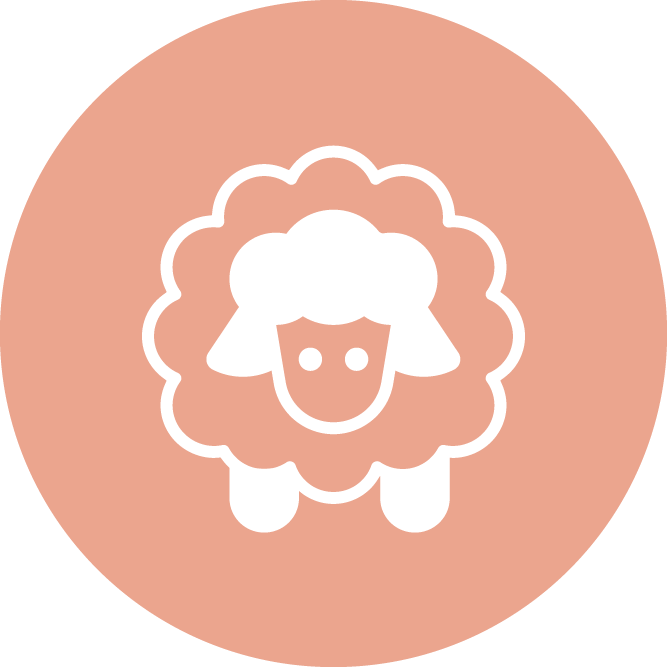 Yün