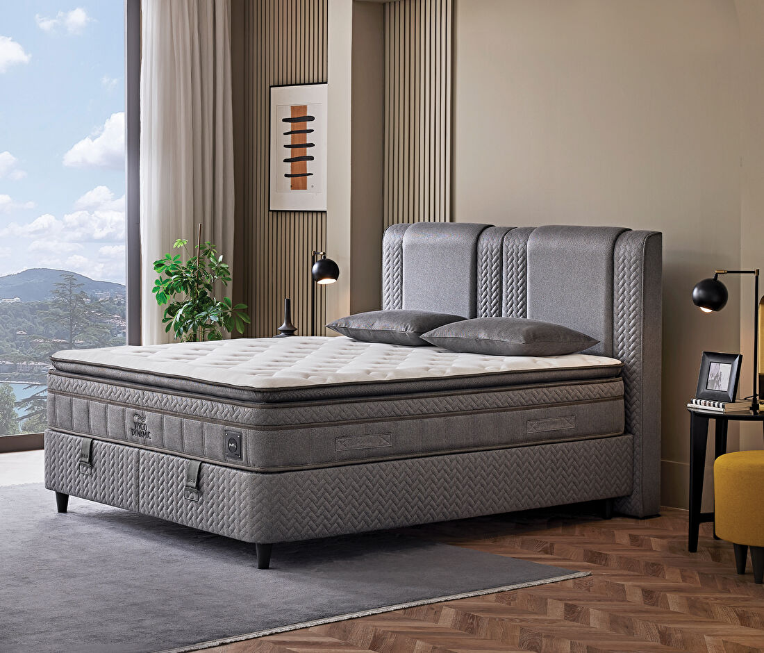 Visco Dynamic 3'lü Set