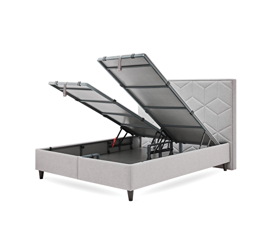 Revien