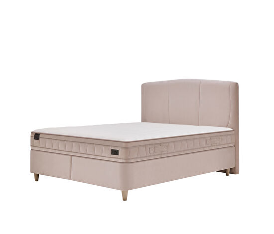 Dual Dream Plus 3'lü Set