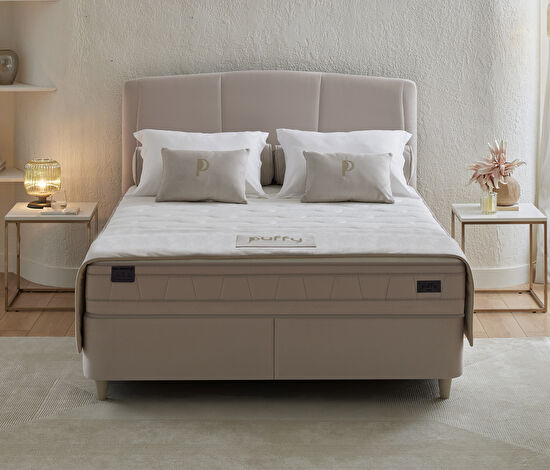 Dual Dream Plus 3'lü Set