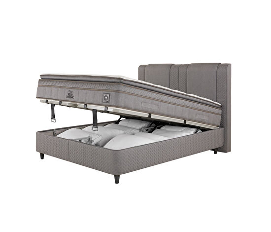 Visco Dynamic 3'lü Set