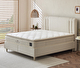 Comfort Plus V.2